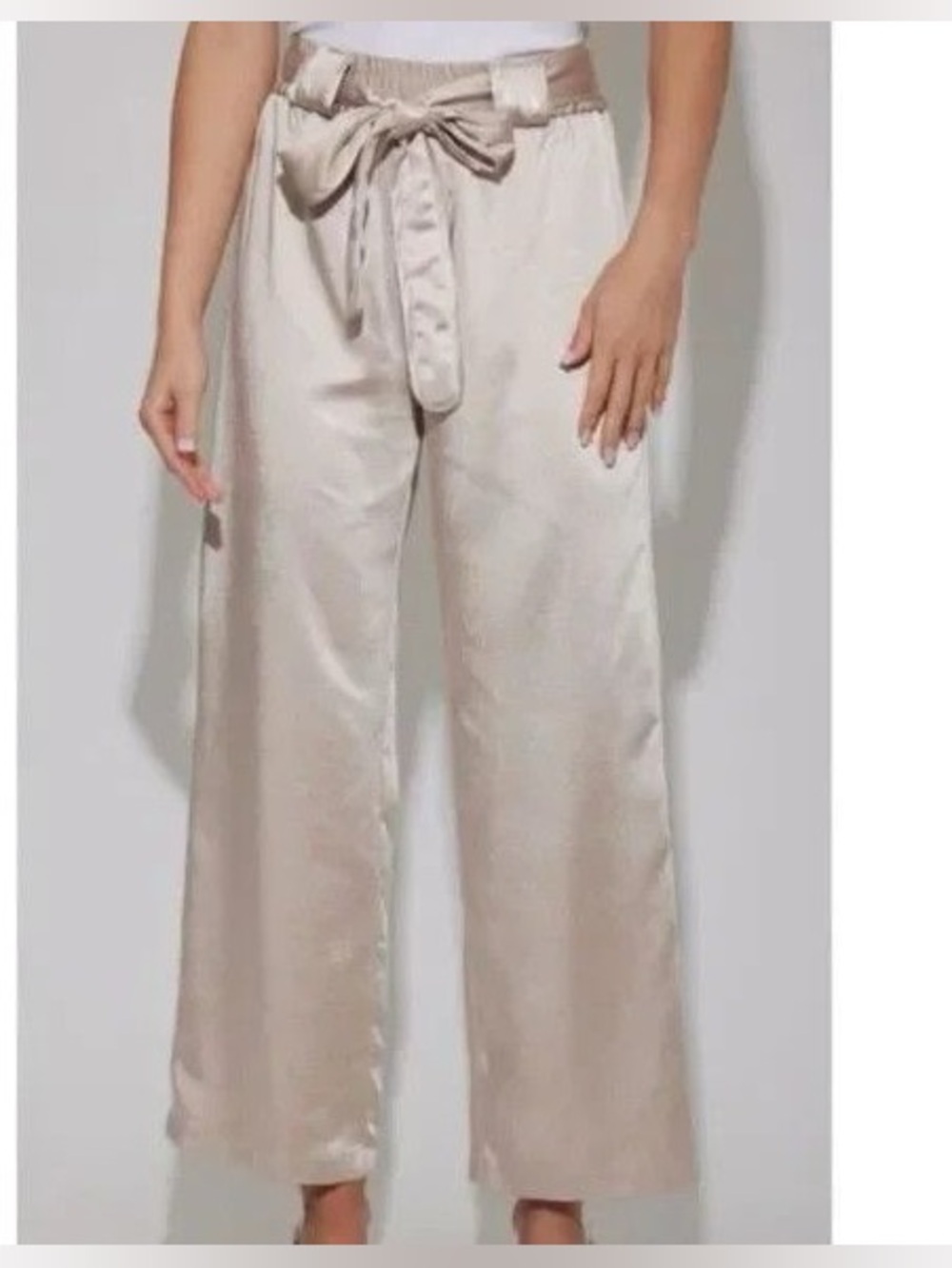 Joie Satin Wide-Leg Pants in Light Champagne